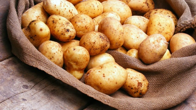 Patates