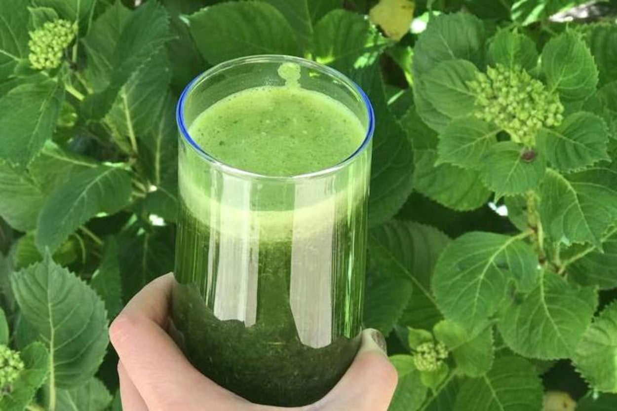 Yağları Yakar: Yeşil Detoks Suyu
