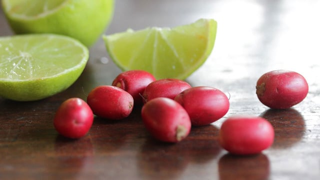 Yediğiniz Her Şeyin Tadını Tatlıya Çeviren Meyve: Miracle Berry
