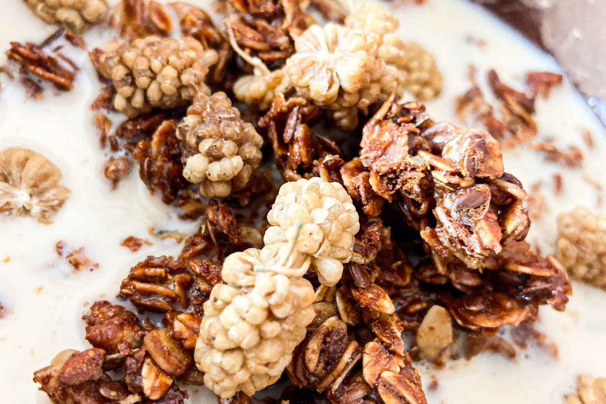 Zengin İçerikli: Ev Yapımı Granola