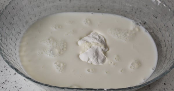 hurmali-incir-uyutmasi1-1