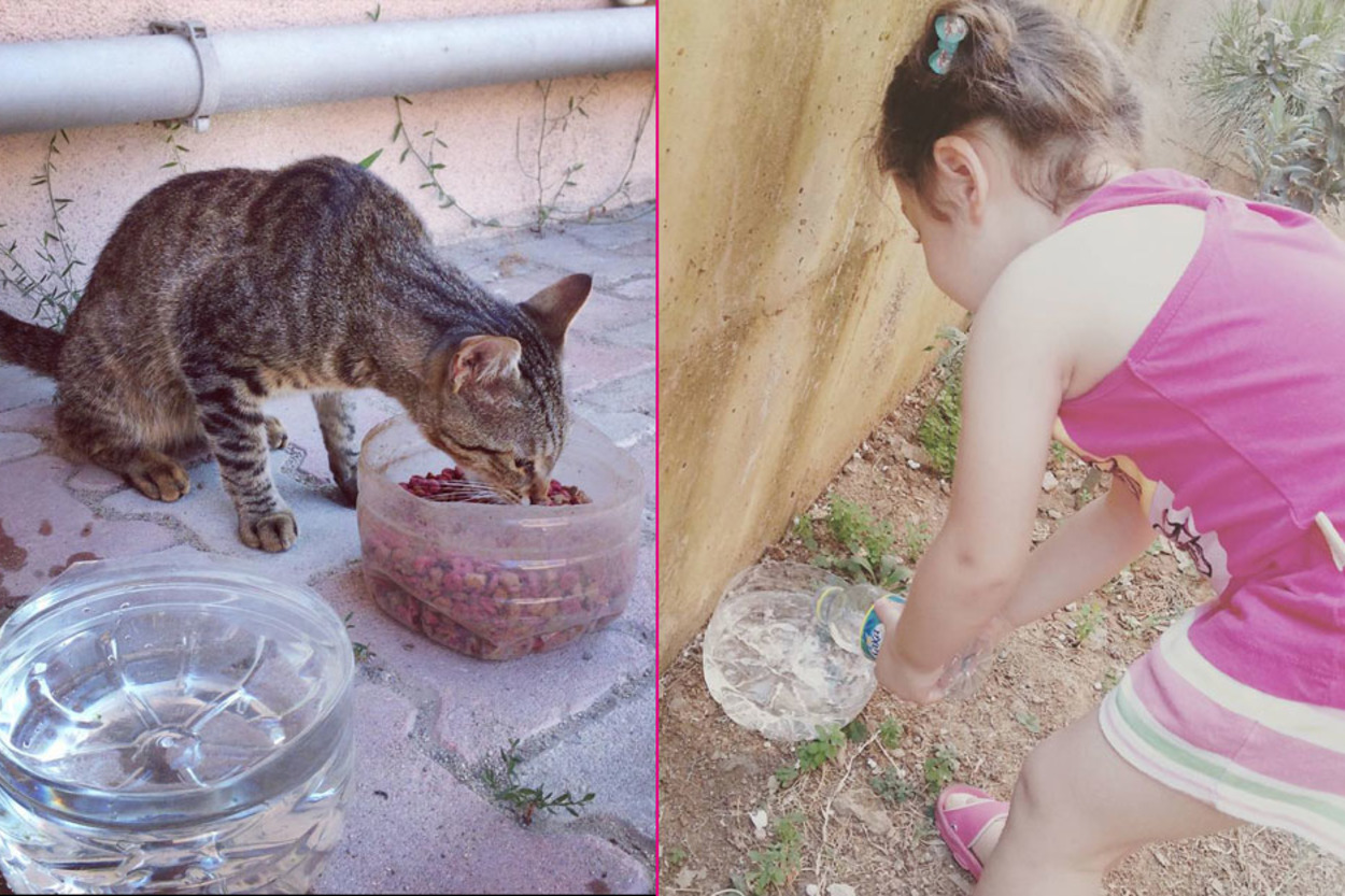 #BirKapSu: Minik Dostlarımıza Yaz Aylarında Yapabileceğimiz En Büyük Yardım