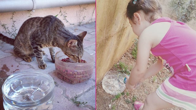 #BirKapSu: Minik Dostlarımıza Yaz Aylarında Yapabileceğimiz En Büyük Yardım