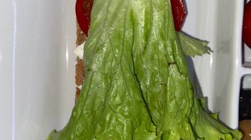Yapılış - 2. Adım