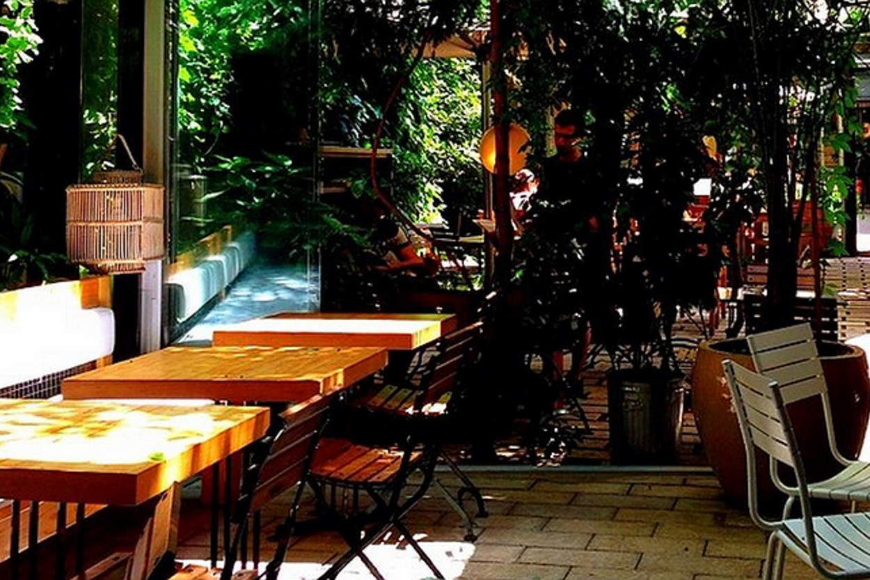 Belki Elf'leri Bile Görebilirsiniz: Limonlu Bahçe