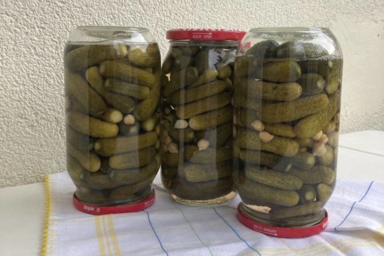 Her Yemeğin Yanında: Kornişon Turşu