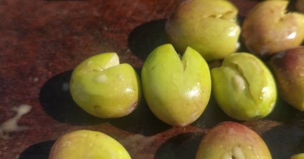 kirma-yesil-zeytin-adim