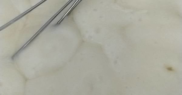 cilekli-manolya-puding-adim-1