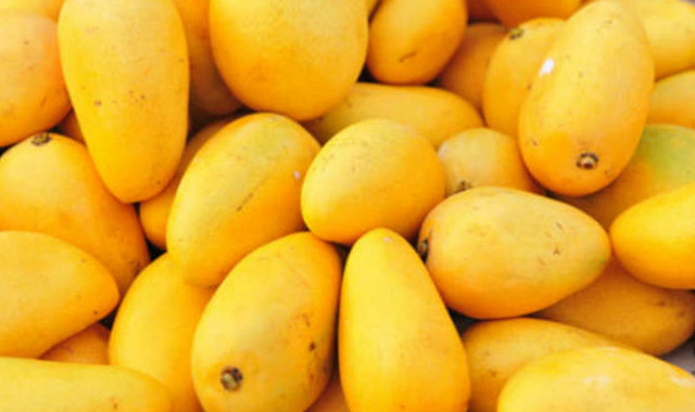 Mango Meyvesi