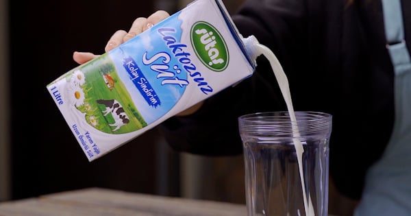 elmali-muzlu-smoothie-600x315-1