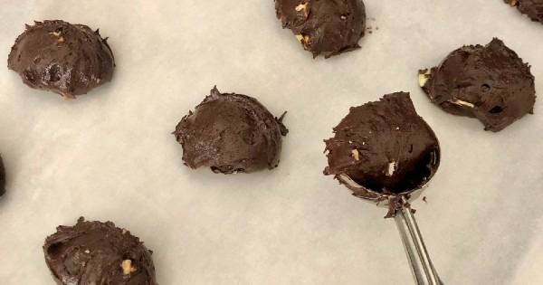 brownie-aysegul3