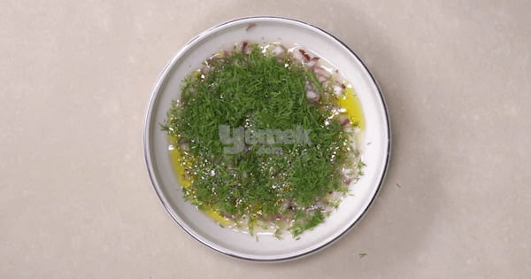 tekmil-fava-7