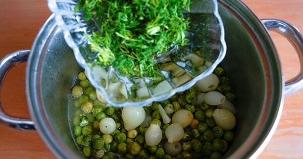 bezelye-eksilemesi-asamasi-6