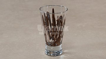 Yapılış - 4. Adım