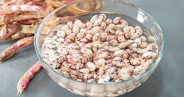derin-dondurucuda-barbunya-asama-3
