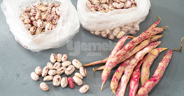 derin-dondurucuda-barbunya-asama-4