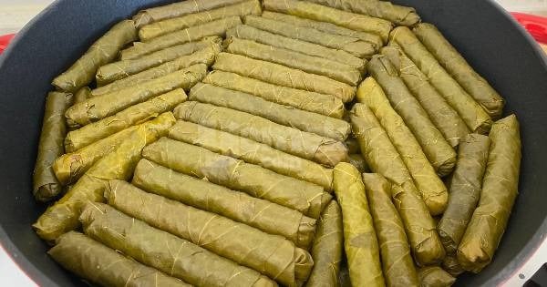 buzluk-icin-yaprak-sarma6