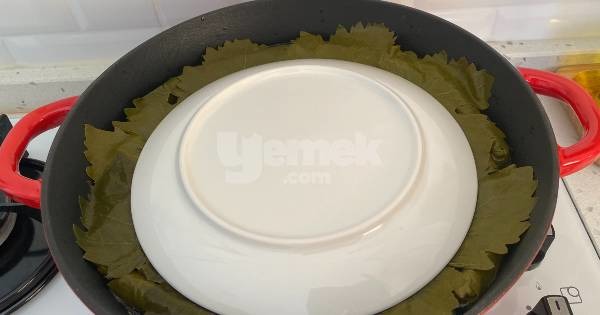 buzluk-icin-yaprak-sarma8