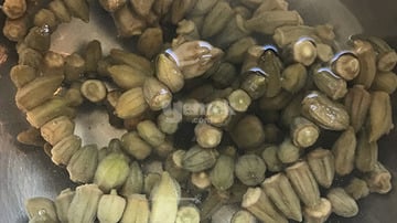 Yapılış - 2. Adım
