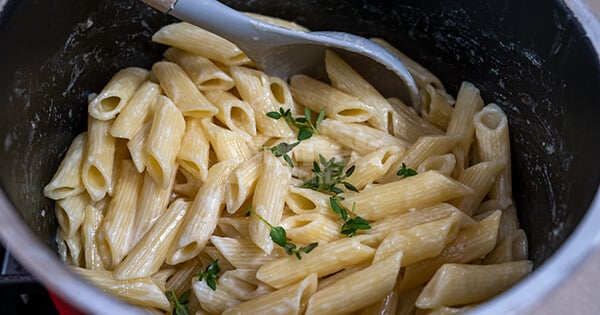 penne-alfredo-asama-4