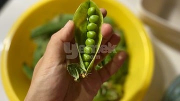 Yapılış - 2. Adım