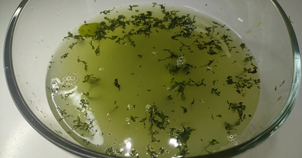 cool-lime-4