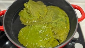 Yapılış - 3. Adım