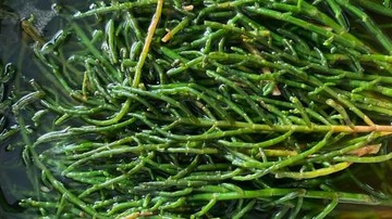 Yapılış - 1. Adım