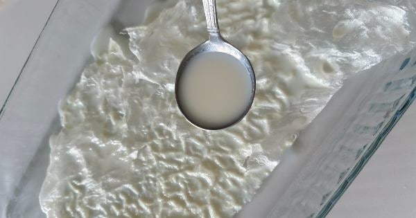 cevizli-gullac-sarma-4