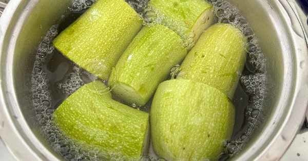 kabak-puresi-1