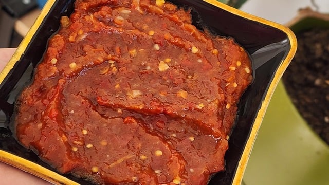 Göçmen Geleneği: Kyopolou