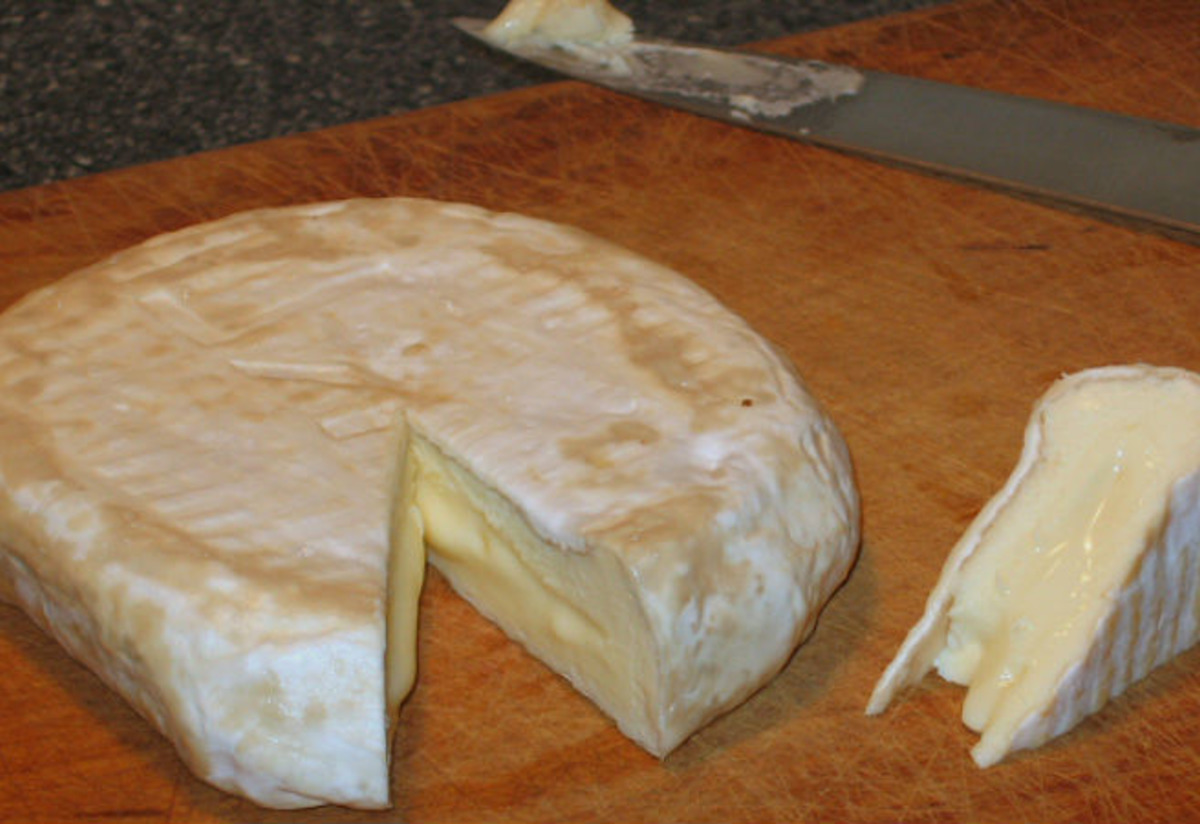 Camembert Tarifi