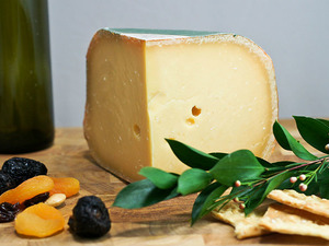 Gouda