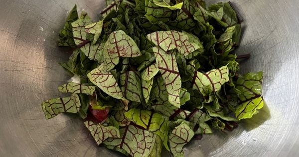 kuzukulagi-salatasi-asama2