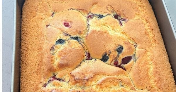 orman-meyveli-torta-noa-asama1