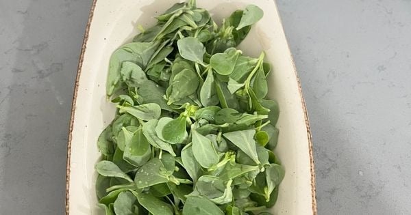 cilek-soslu-semizotu-salatasi