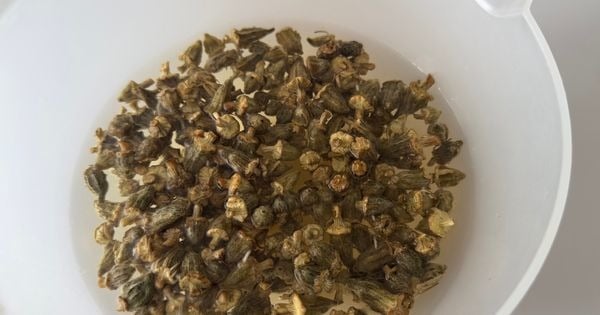 zeytinyagli-kuru-bamya-asama1
