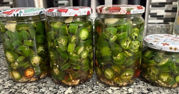 jalapeno-biberi-tursusu-asama9