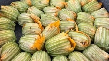 Yapılış - 8. Adım