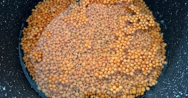 mercimek-humus-asama1