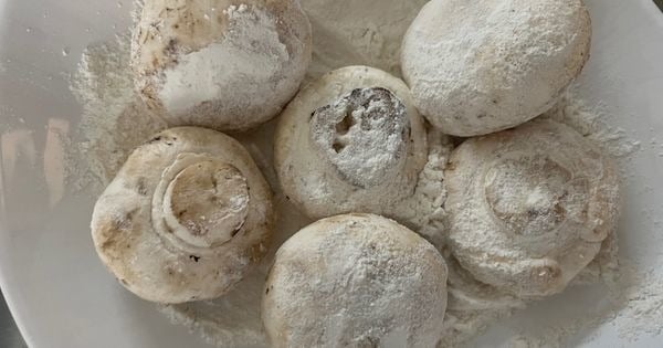mantar-pane-asama2