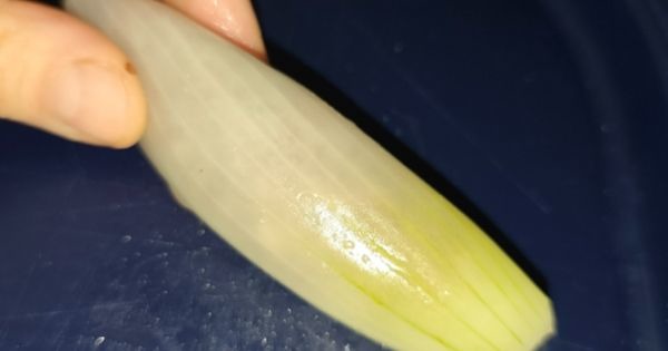 etli-pazi-ve-sogan-dolmasi-asama4