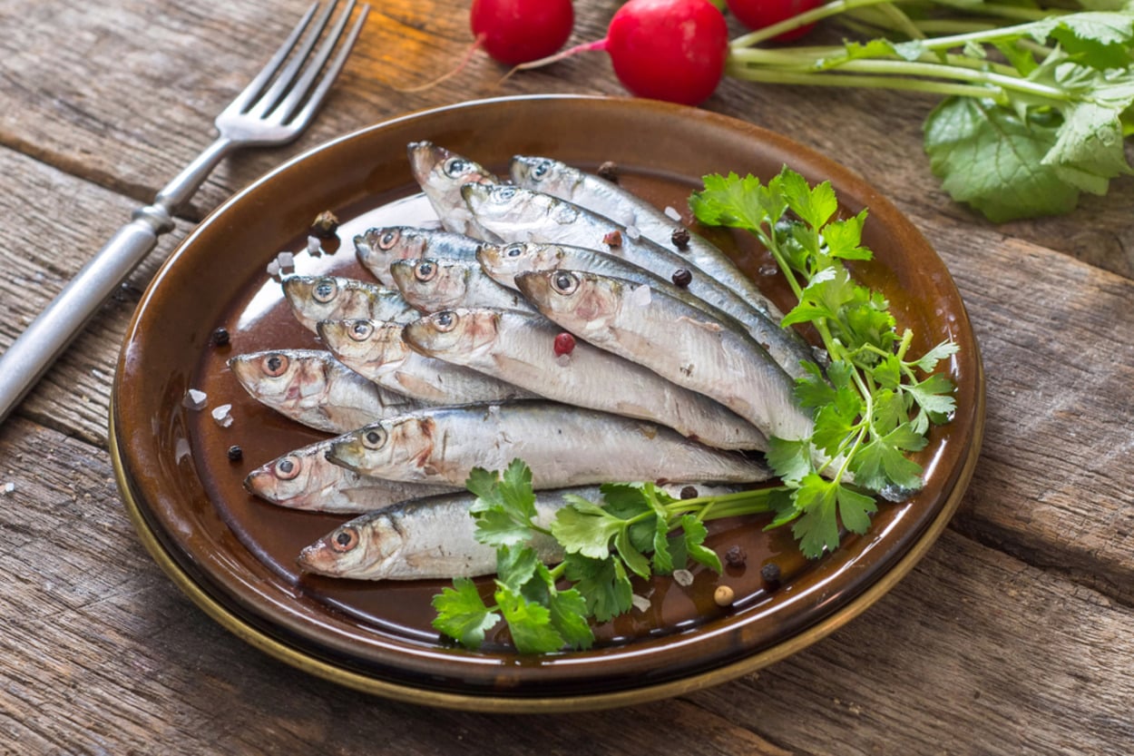Gümüş Balığı