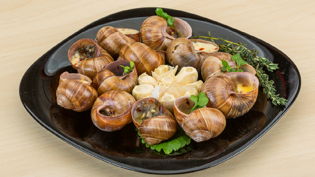 Salyangoz