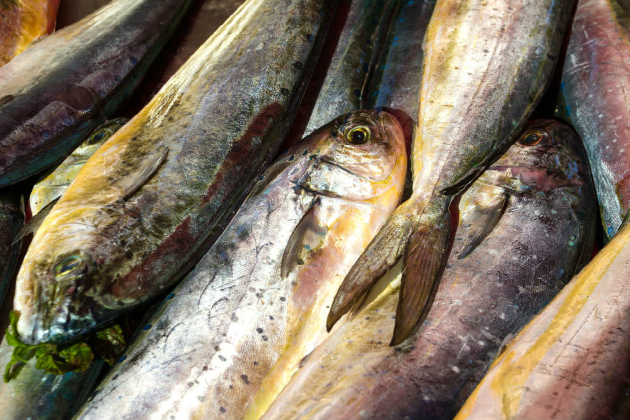Lambuka