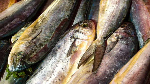 Lambuka