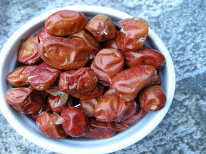 İğde