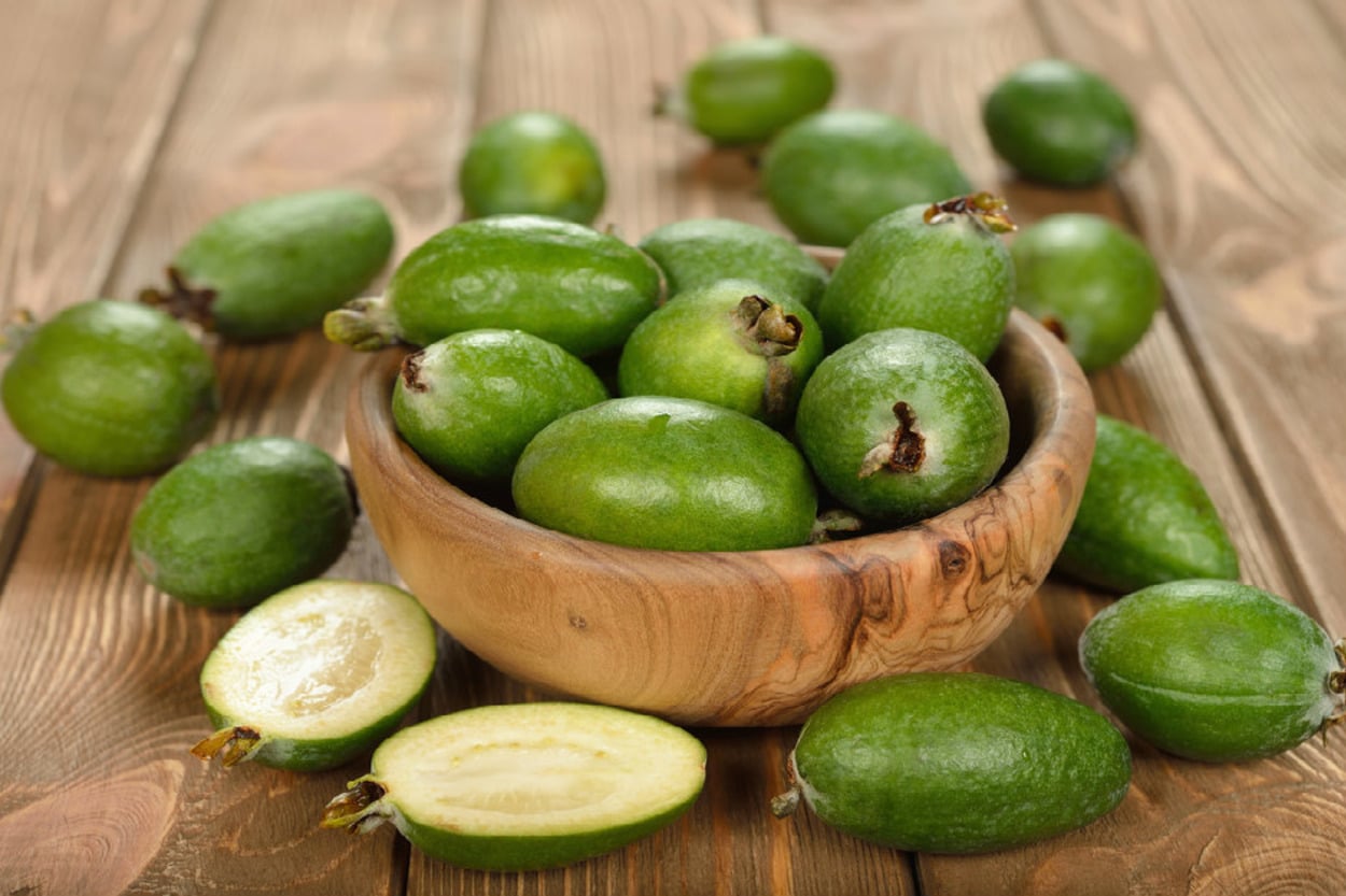 Feijoa