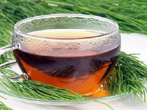 Kırkkilit Otu Çayı