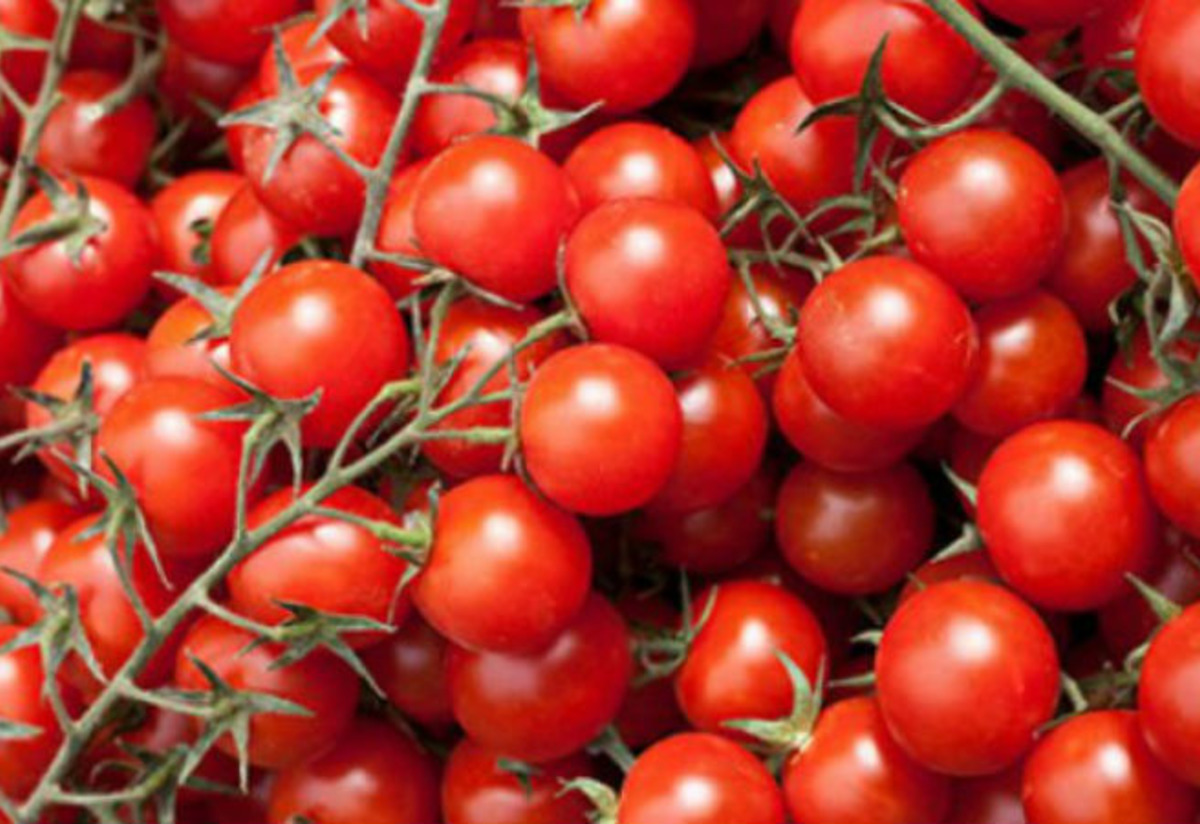 Kiraz Domates Tarifi